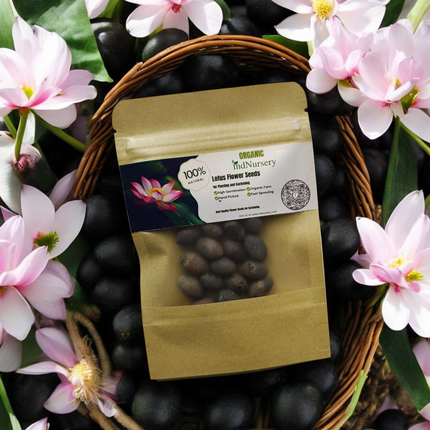 IndNursery Lotus Flower Seeds (Pack of 20 pcs)